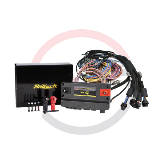 ECU / PMU / DATA LOGGER Haltech Nexus R5 VCU + Basic Universal Wiring (2.5m)