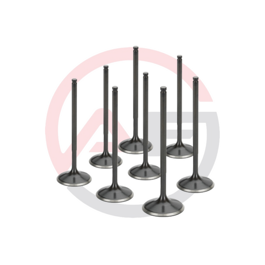 Juego de válvulas admisión 34.10mm SUPERTECH PSA XU10J4RS (RFS) 2.0 16V